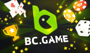 Everything You Need to Know About BC Game Referral Code
