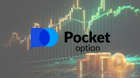 Pocket Option Live Signals Harnessing the Power of Real-Time Trading Insights